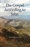 bokomslag The Gospel According to John: A Greek-English, Verse by Verse Translation