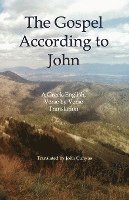 The Gospel According to John: A Greek-English, Verse by Verse Translation 1