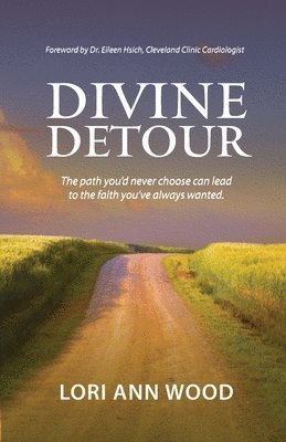 bokomslag Divine Detour: The path you'd never choose can lead to the faith you've always wanted.