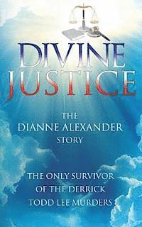 bokomslag Divine Justice