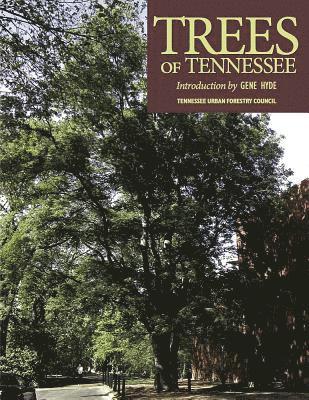 Trees of Tennessee 1