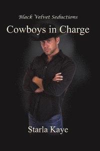 bokomslag Cowboys in Charge