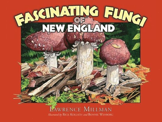 Fascinating Fungi of New England 1