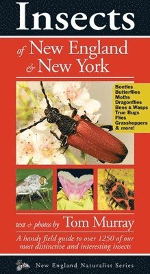 Tom Murray - Insects of New England & New York, Häftad
