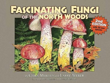 Cora Mollen - Fascinating Fungi of the North Woods, Häftad