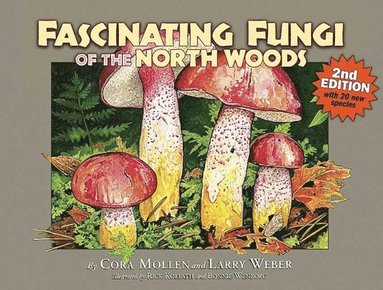 bokomslag Fascinating Fungi of the North Woods, 2nd Edition