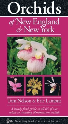 Tom Nelson - Orchids of New England & New York, Häftad