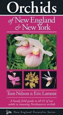 Orchids of New England & New York 1