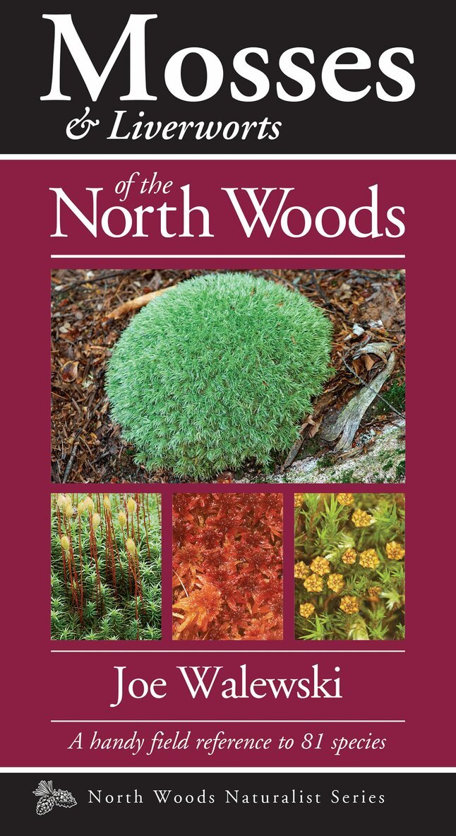Joe Walewski - Mosses & Liverworts of the North Woods, Häftad