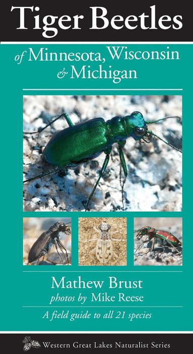 Mathew Brust - Tiger Beetles of Minnesota, Wisconsin & Michigan, Häftad