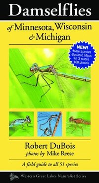 bokomslag Damselflies of Minnesota, Wisconsin & Michigan