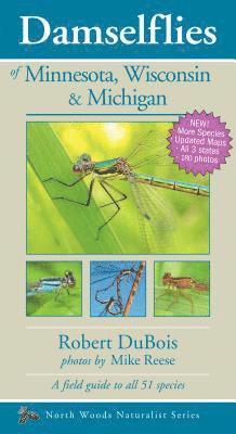 bokomslag Damselflies of Minnesota, Wisconsin & Michigan