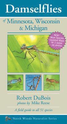 Damselflies of Minnesota, Wisconsin & Michigan