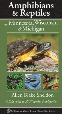 bokomslag Amphibians & Reptiles of Minnesota, Wisconsin & Michigan