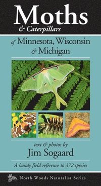 bokomslag Moths & Caterpillars of Minnesota, Wisconsin & Michigan