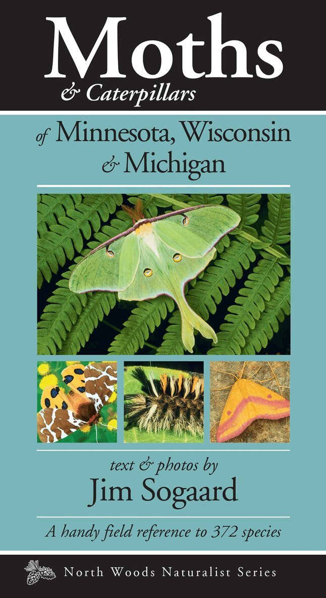 Jim Sogaard - Moths & Caterpillars of Minnesota, Wisconsin & Michigan, Häftad