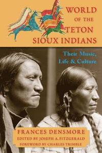 bokomslag World of the Teton Sioux Indians