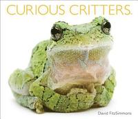 bokomslag Curious Critters