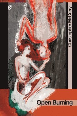 Christopher McCurry, Christopher Mccurry - Open Burning, Häftad