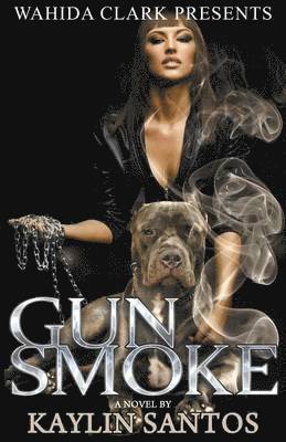 Gun Smoke 1