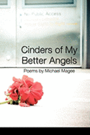 bokomslag Cinders of My Better Angels
