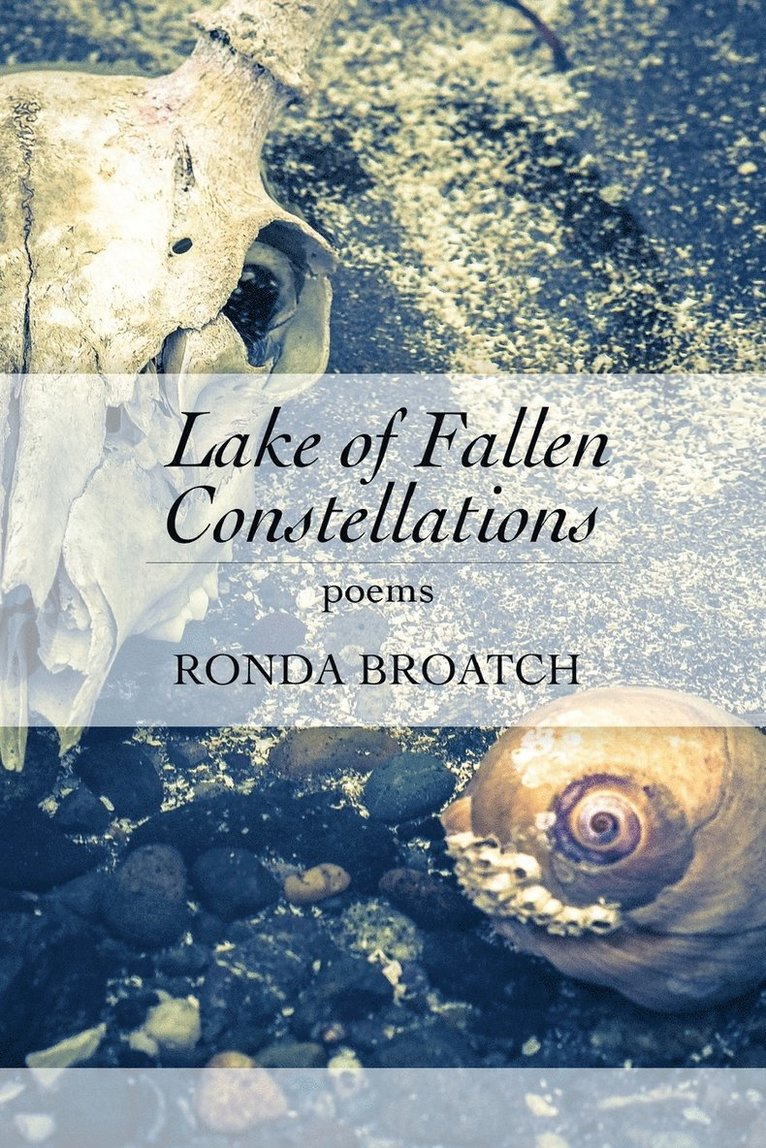 Lake of Fallen Constellations 1