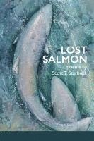 bokomslag Lost Salmon