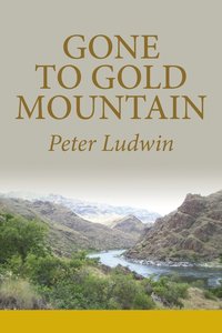bokomslag Gone To Gold Mountain