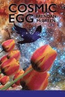 Brendan McBreen, Lana Hechtman Ayers - Cosmic Egg, Häftad