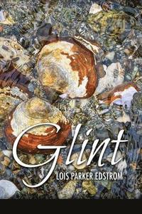 bokomslag Glint