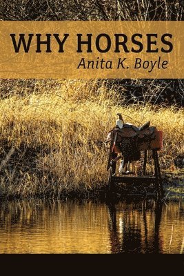 Anita K Boyle - Why Horses, Häftad