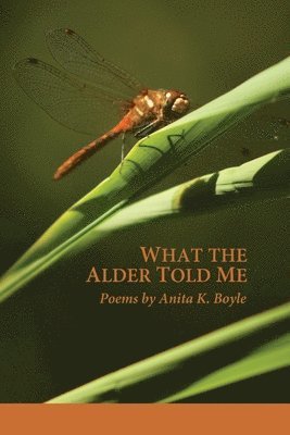 Anita K Boyle - What the Alder Told Me, Häftad