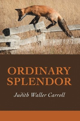 Judith Waller Carroll, Lana Hechtman Ayers - Ordinary Splendor, Häftad