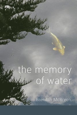 Brendan McBreen - Memory of Water, Häftad