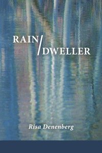 bokomslag Rain / Dweller