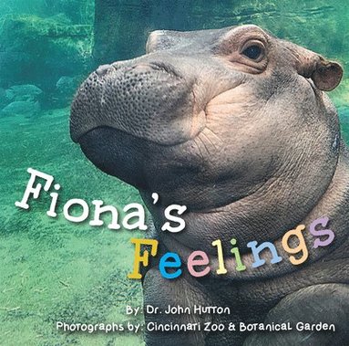 John Hutton - Fiona's Feelings, Kartonnage