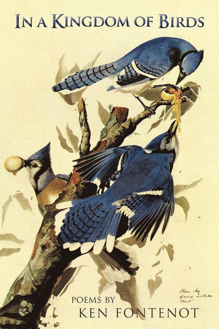 Ken Fontenot - In a Kingdom of Birds, Häftad. Tillgänglighet: Lägg i varukorg