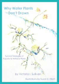 Victoria I. Sullivan - Why Water Plants Don't Drown: Survival Strategies of Aquatic and Wetland Plants, Häftad