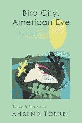 Bird City, American Eye 1