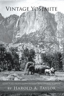 bokomslag Vintage Yosemite