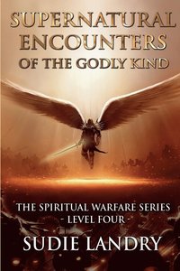 bokomslag Supernatural Encounters of the Godly Kind - The Spiritual Warfare Series - Level Four