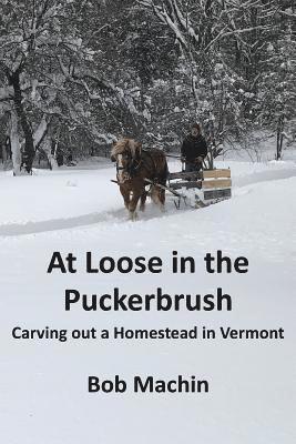 bokomslag At Loose in the Puckerbrush: Carving out a Homestead in Vermont