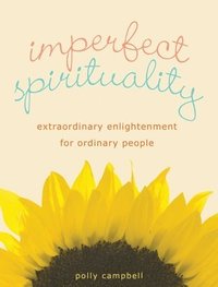 bokomslag Imperfect Spirituality