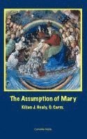 Kilian John Healy, William J Harry, Michael M Gorman, William J. J. Harry, Michael M. Gorman - Assumption of Mary, Häftad