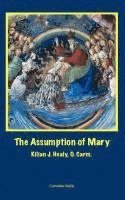 The Assumption of Mary 1