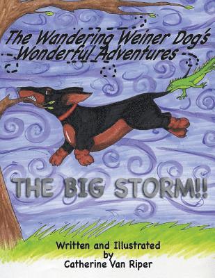 bokomslag Wandering Weiner Dog's Wonderful Adventures