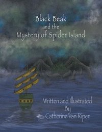 bokomslag Black Beak and the Mystery of Spider Island