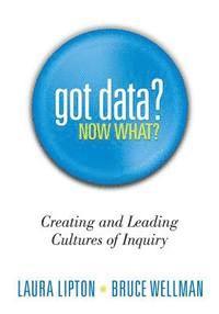 bokomslag Got Data? Now What?: Creating and Leading Cultures of Inquiry