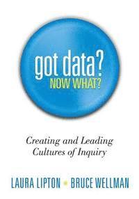 Laura Lipton, Bruce Wellman - Got Data? Now What?: Creating and Leading Cultures of Inquiry, Häftad