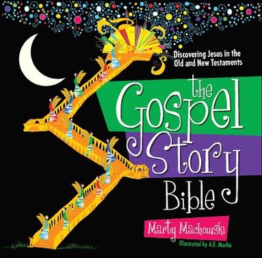 bokomslag The Gospel Story Bible